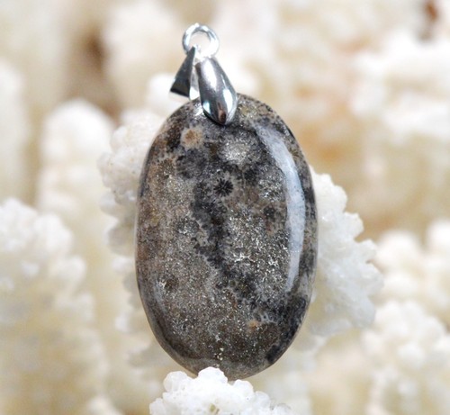 Corail fossile carats - 21,
