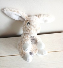 Histoire d'ours petit doudou