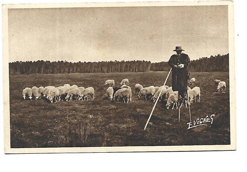 Berger sur echasse en - berger,