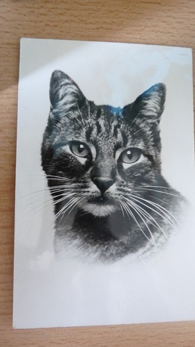Superbe cpa carte postale - carte, tete