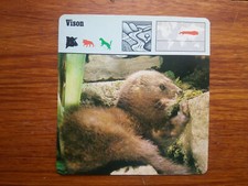 VISON MUSTELA LUTREOLA  Carte