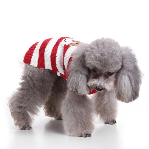 Manteau chaud chien - chaud,