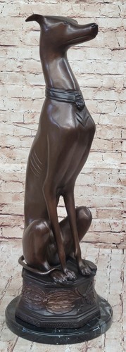 Grand lévrier whippet - lévrier,