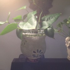 cracked glass painted Flower