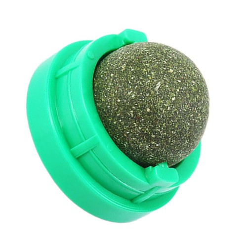 Boule herbe chat verte - chat,