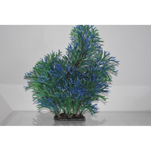 Aquarium géant fond bleu - aquarium, &