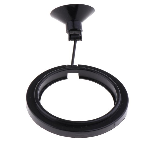 Aquarium fish tank - tank, pour