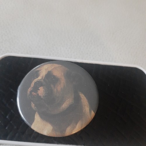 Old english bulldog - english, vintage