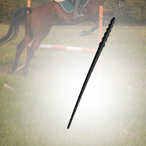 Cravache équitation pour - cravache,