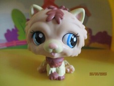 Petshop Chien Chow Chow #1636