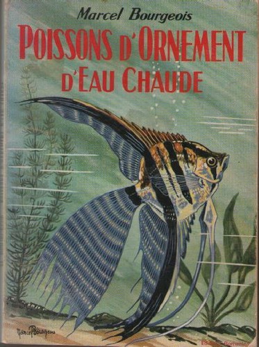 Poissons ornement eau - d'ornement, d'eau