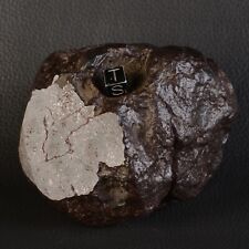 Météorite NWA 16949 de 1760