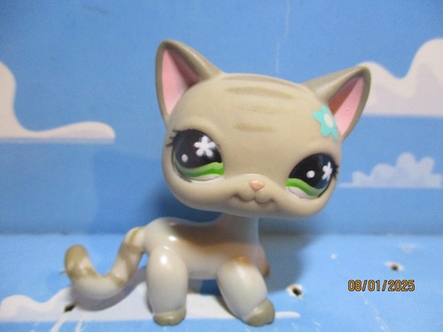 Petshop chat europeen 483 - petshop, /