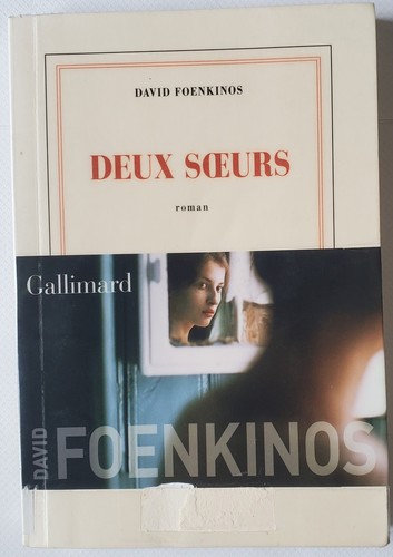 David foenkinos deux soeurs - david,