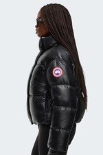 Canada goose cypress cropped - cypress,