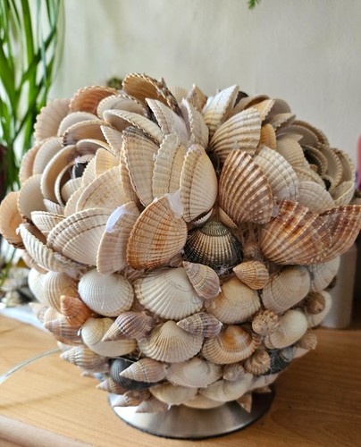 Lampe poser coquillage - à, en