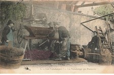 MIKII-1040 58 LA VENDANGE AU