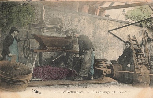 Mikii 1040 vendange - la,