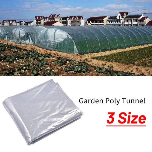 Transparent film tunnel - film,