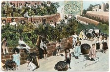 ENFANTS MULTIPLES. BéBéS 