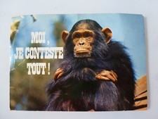 MOI JE CONTESTE TOUT SINGE