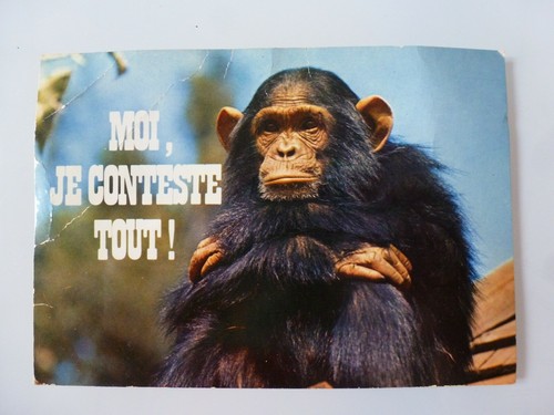 Moi conteste tout singe - moi,