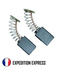 Paire de charbons pour moteur
