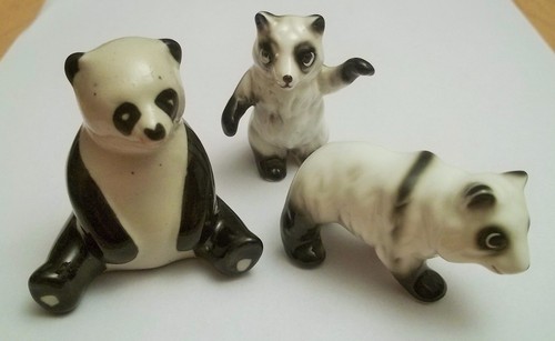 Magnifique famille pandas - magnifique,