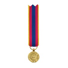 REDUCTION DE MEDAILLE DE LA DEFENSE NATIONALE OR DEFNAT NEUVE DEF NAT