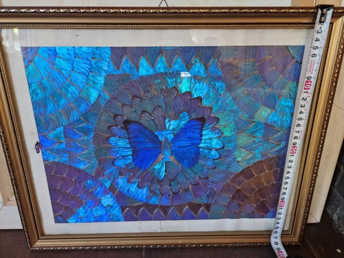 Tableau art ailes papillons - art,