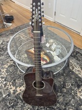 takamine 12 string guitar
