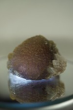 Yellow and Purple Stepped