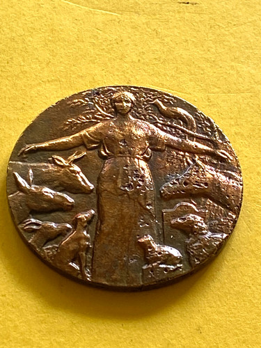 Jolie medaille francaise 1933 - medaille,