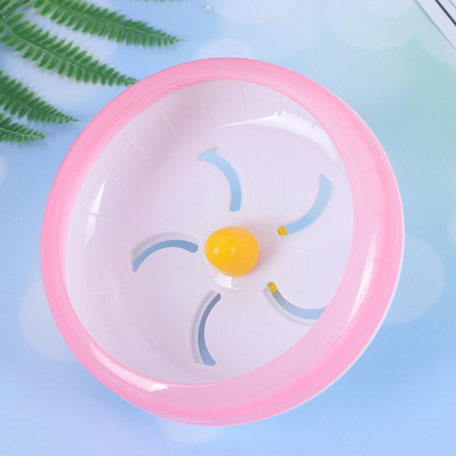 Roue exercice pour animaux - pour,