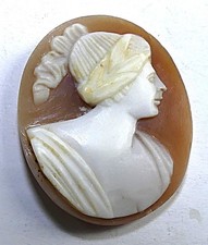 CAMEE COQUILLE ANCIEN 19è