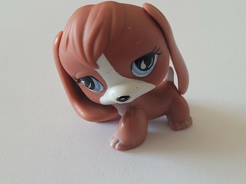 Lps 567 littlest petshop - lps,