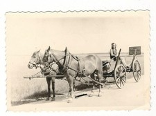 7/482 Photo Du Landjahrmädel