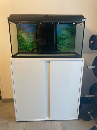 Aquarium 100l aquatlantis - aquarium,