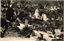 CPA AK ALGERIA ALGER Environs