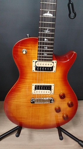Guitare électrique paul - électrique, reed