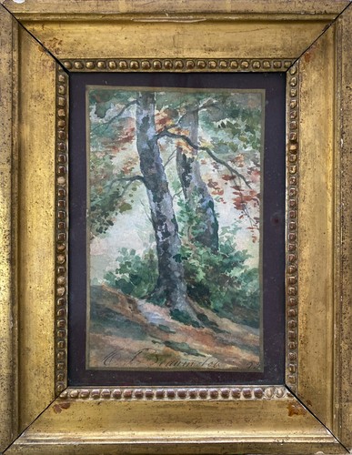 Tableau aquarelle xix - tableau, xix°