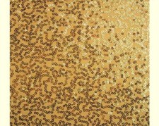 De Luxe Sequin Danse Wear