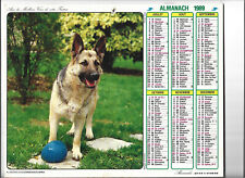 ALMANACH des PTT,  CALENDRIER DES POSTES - 1989 - Chien BERGER ALLEMAND, Maison