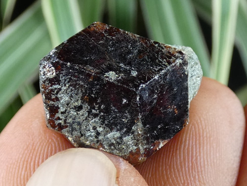 Beau grenat almandin rouge - beau,