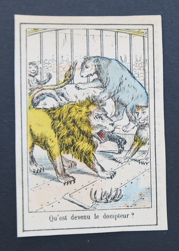 Chromo jeu devinette lion - chromo,
