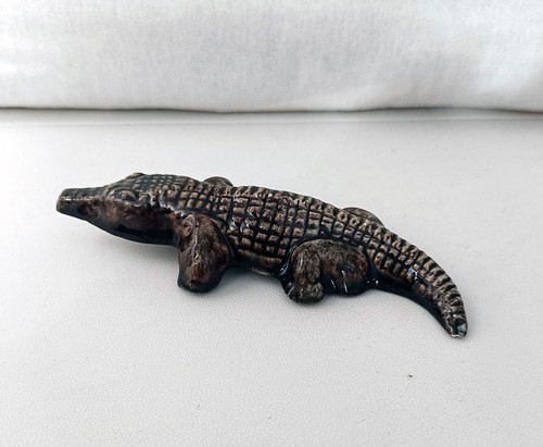 Crocodile accolay - accolay, en