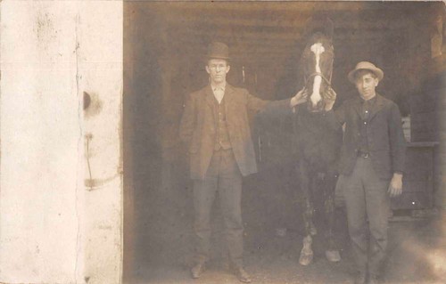 Men horse laurel pennsylvania - horse,