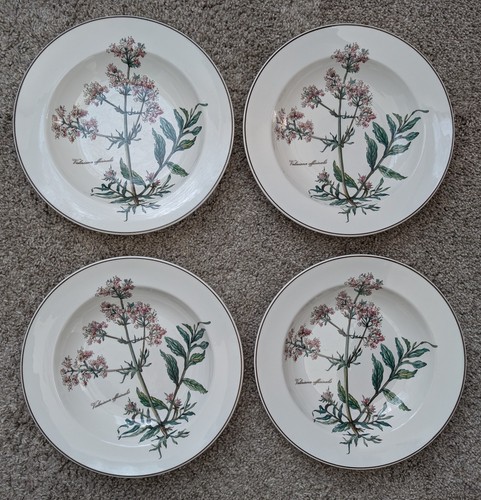 Villeroy boch rim - rim, soup