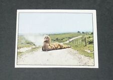 N°212 FILM LES AVENTURES DE