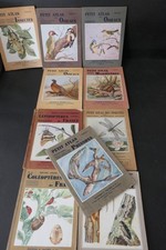 atlas Boubée oiseaux insectes poissons coléoptères lépidoptères X10